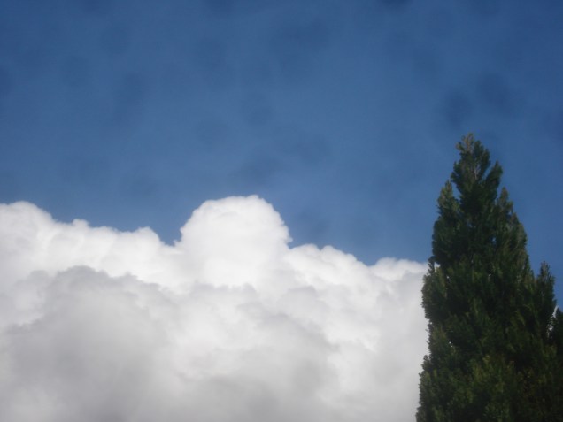 ob_05b04df954dd03b7ce3eafe96fed8163_dsc02579