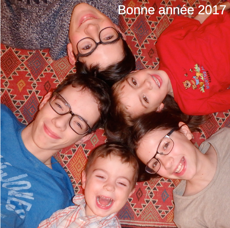 capture-decran-2017-01-01-a-20-29-03